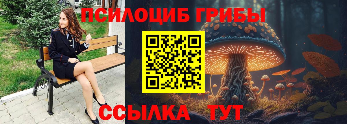 Можга  Псилоцибиновые грибы Magic Shrooms  сколько стоит  Вход с VPN 